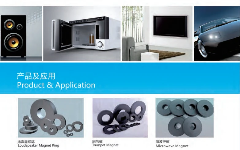 ring hard magnets application