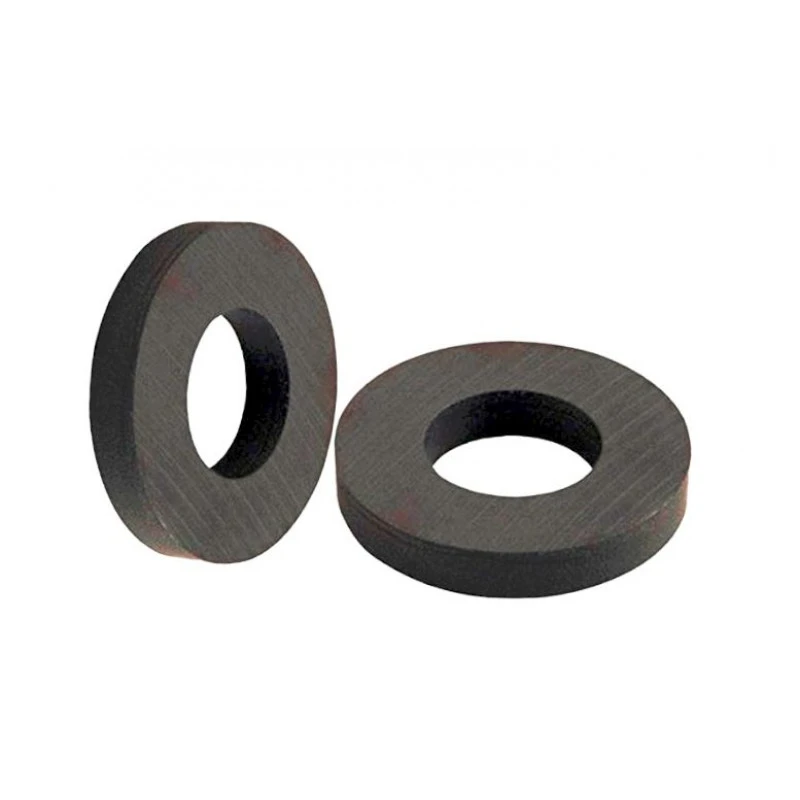 ring ferrite magnet