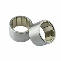 Rotore magnetico del motore CA